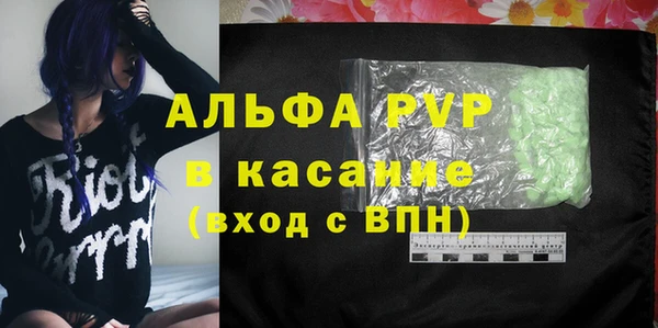 прущие грибы Наволоки